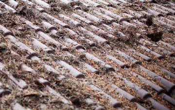 Calvadnack roof cleaning companies